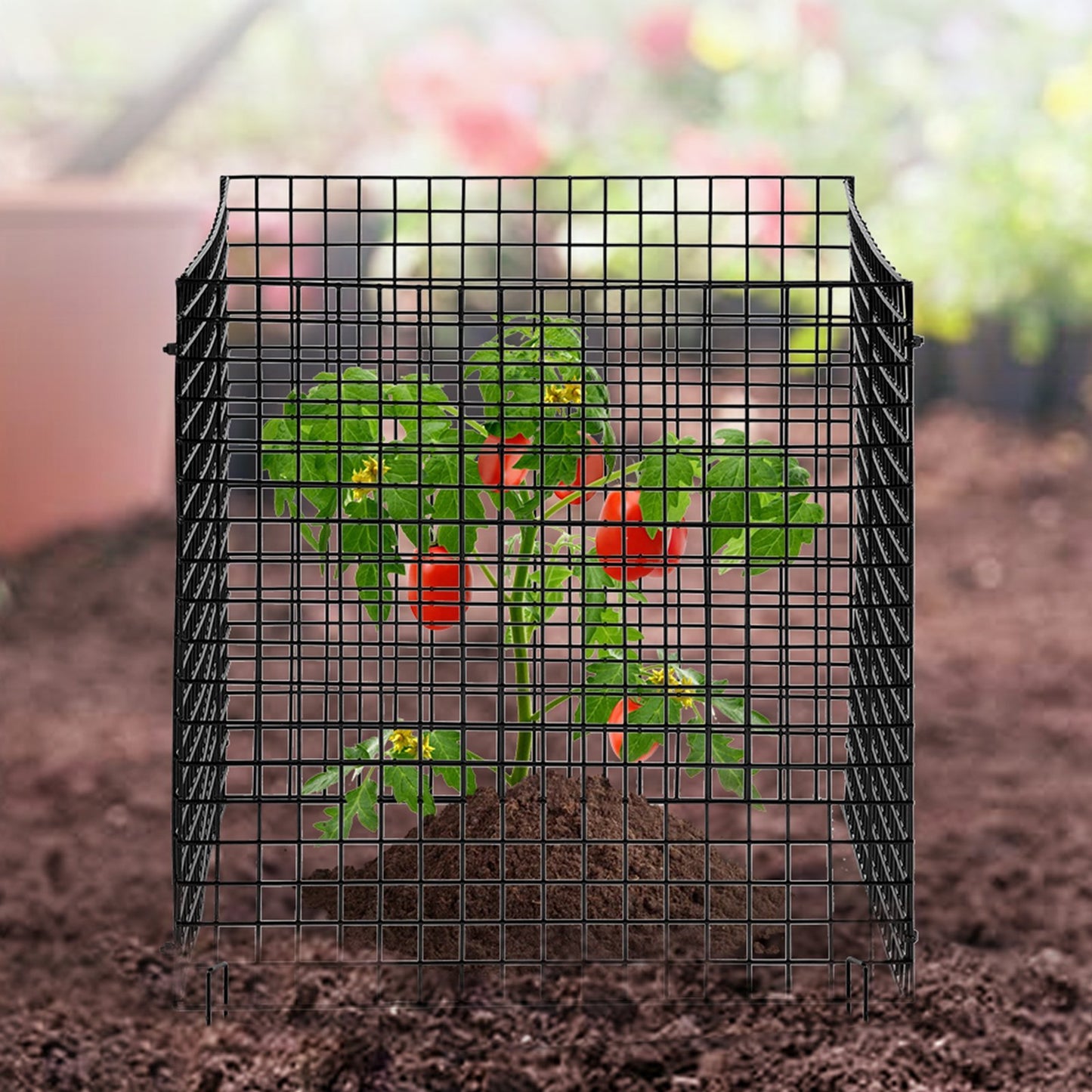 VEVOR 10 Pack Plant Protector From Animals Plant Cage For Vegetables